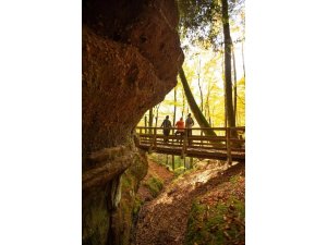 Deutschlands schönster Wanderweg â€“ Der Pirmasenser â€žTeufelspfadâ€œ