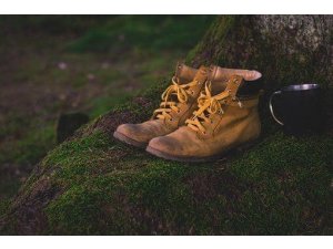 Deutschlands schönster Wanderweg â€“ Der Pirmasenser â€žTeufelspfadâ€œ