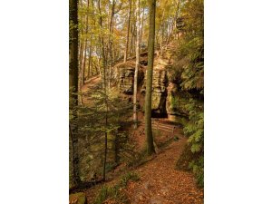 Deutschlands schönster Wanderweg â€“ Der Pirmasenser â€žTeufelspfadâ€œ