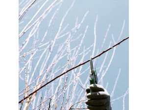 Gartenfreunde aufgepasst: Wertstoffhof nimmt bald wieder Grünschnitt an