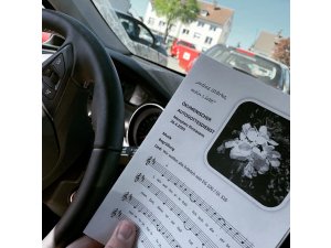 Superstars, Autokino und Rhabarber â€“ ein Pirmasenser Wochenende