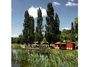 Pirmasens - Ein Sommergarten im schönsten Park der Pfalz