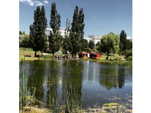 Pirmasens - Ein Sommergarten im schönsten Park der Pfalz