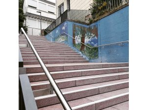 Geliebt, verflucht und mit Füßen getreten â€“ die schönen Pirmasenser Treppen! Und: Münztreppe f