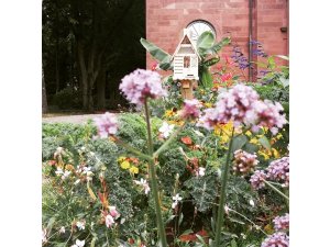 Der Meister und sein Lehrling â€“ Städtische Steinmetze restaurieren â€žAlten Friedhofâ€œ in Pirmas