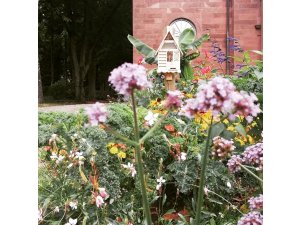 Der Meister und sein Lehrling – Städtische Steinmetze restaurieren „Alten Friedhof“ in Pirmas