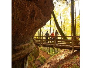 Urlaub in Pirmasens und der Südwestpfalz â€“ wandern auf Deutschlands schönsten Wanderwegen