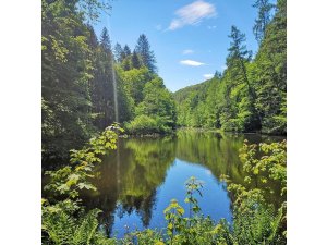 Urlaub in Pirmasens und der Südwestpfalz â€“ wandern auf Deutschlands schönsten Wanderwegen