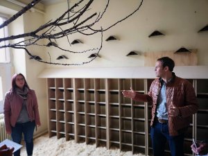 Tierliebes Pirmasens â€“ Ein neues Taubenhotel und ein Spendenprojekt für die Stadttaubenhilfe