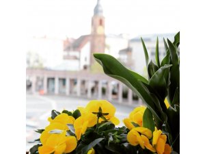 Nachhaltig, artenreich und vielfältig â€“ Pirmasens erhält Auszeichnung für vorbildlichen Natur- 
