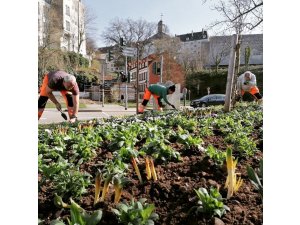 Nachhaltig, artenreich und vielfältig â€“ Pirmasens erhält Auszeichnung für vorbildlichen Natur- 