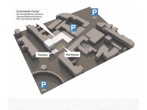 Neuigkeiten aus der Pirmasenser Höfelsgasse! â€“ Entwickler planen Schuhstadt- Center!