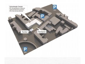 Neuigkeiten aus der Pirmasenser Höfelsgasse! – Entwickler planen Schuhstadt- Center!