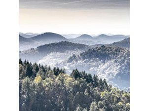 „Halten Sie durch und bleiben Sie zuhause!“ - Gemeinsamer Appell der Pfälzer OBs, Landräte und