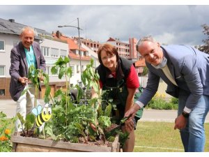 Pirmasens Blumenbeete präsentieren sich als Nutzgärten und Insekten-Blühoase