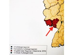 Pirmasens unter den Top- Aufsteiger-Regionen in Deutschland 