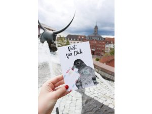 Tierliebes Pirmasens â€“ Ein neues Taubenhotel und ein Spendenprojekt für die Stadttaubenhilfe