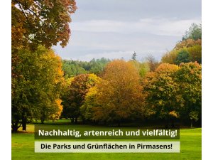 Nachhaltig, artenreich und vielfältig â€“ Pirmasens erhält Auszeichnung für vorbildlichen Natur- 