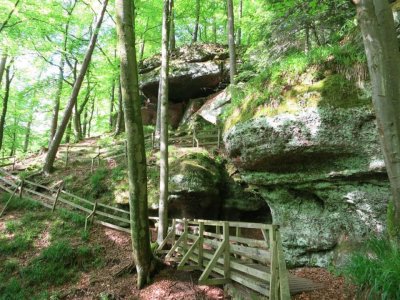 Deutschlands schönster Wanderweg â€“ Der Pirmasenser â€žTeufelspfadâ€œ