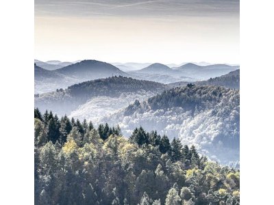 „Halten Sie durch und bleiben Sie zuhause!“ - Gemeinsamer Appell der Pfälzer OBs, Landräte und