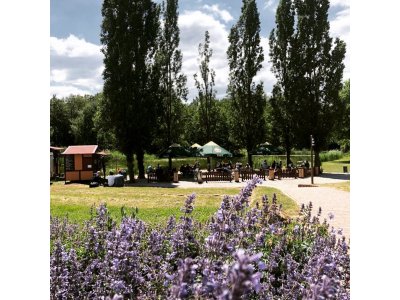 Pirmasens - Ein Sommergarten im schönsten Park der Pfalz