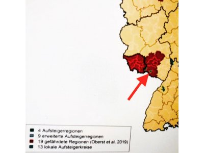 Pirmasens unter den Top- Aufsteiger-Regionen in Deutschland 