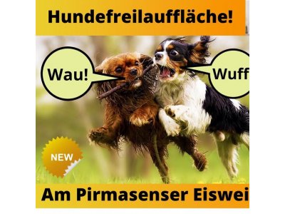 Tierfreundliches Pirmasens - Neue Hundefreilauffläche am Eisweiher 