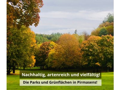 Nachhaltig, artenreich und vielfältig â€“ Pirmasens erhält Auszeichnung für vorbildlichen Natur- 