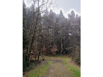 Es schneit auf dem Rundwanderweg auf der Ruhbank