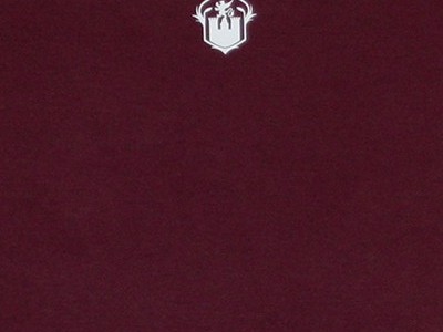 Pfalz Pirmasens - Damen Shirt