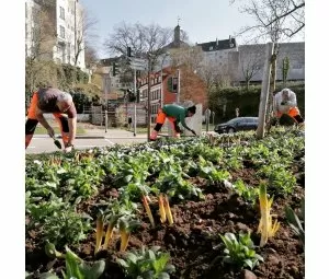 Pirmasens blüht auf – die Stadt als natürliches Paradies für Pflanzen, Tier...