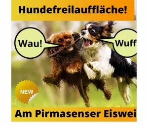 Tierfreundliches Pirmasens - Neue Hundefreilauffläche am Eisweiher ...