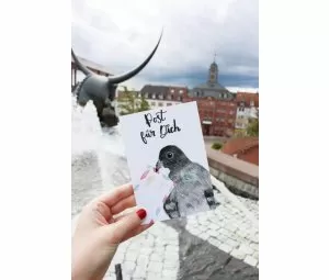 Tierliebes Pirmasens â€“ Ein neues Taubenhotel und ein Spendenprojekt für die St...